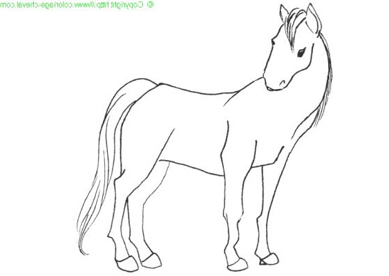 dessin cheval facile en noir et blanc