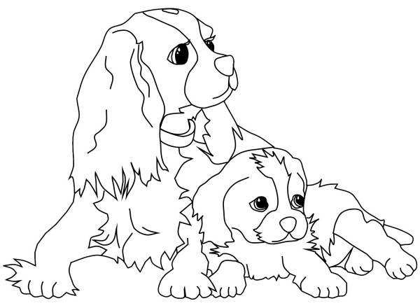 dibujos de mascotas para imprimir y colorear