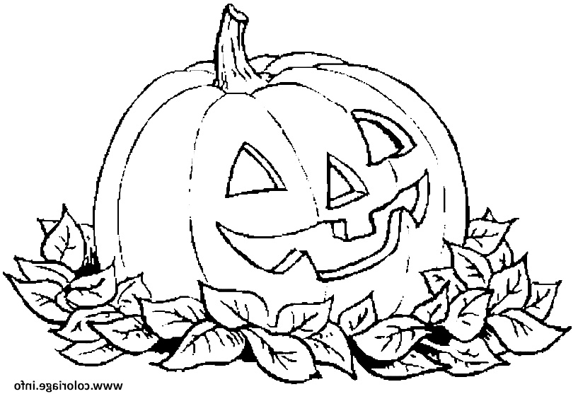citrouille d halloween avec des feuilles mortes coloriage dessin