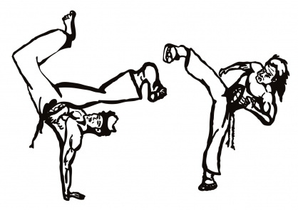 Coupe du monde Danseurs de Capoeira 2