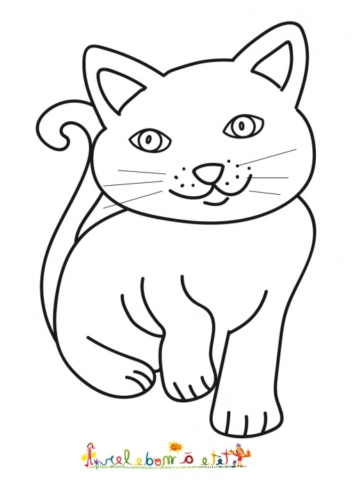 dessin d un chat tout en rondeur