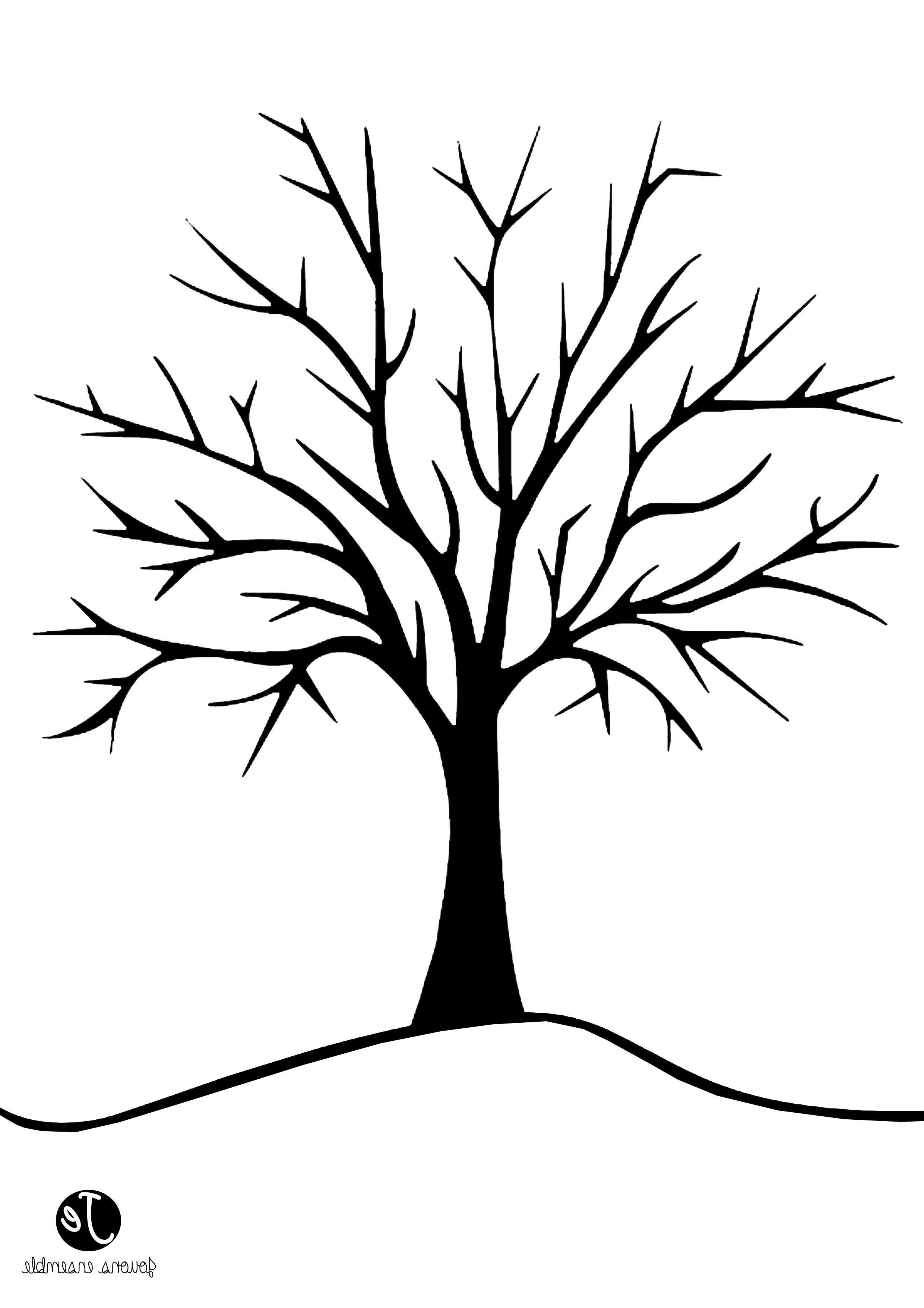 coloriage arbre sans feuilles avec coloriage arbre et dessin tout dessin de feuille d arbre a imprimer