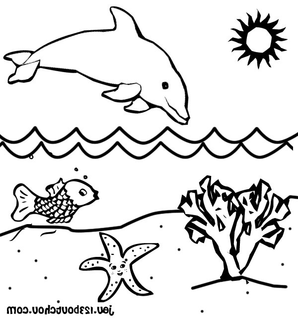 coloriage dauphin a imprimer gratuit