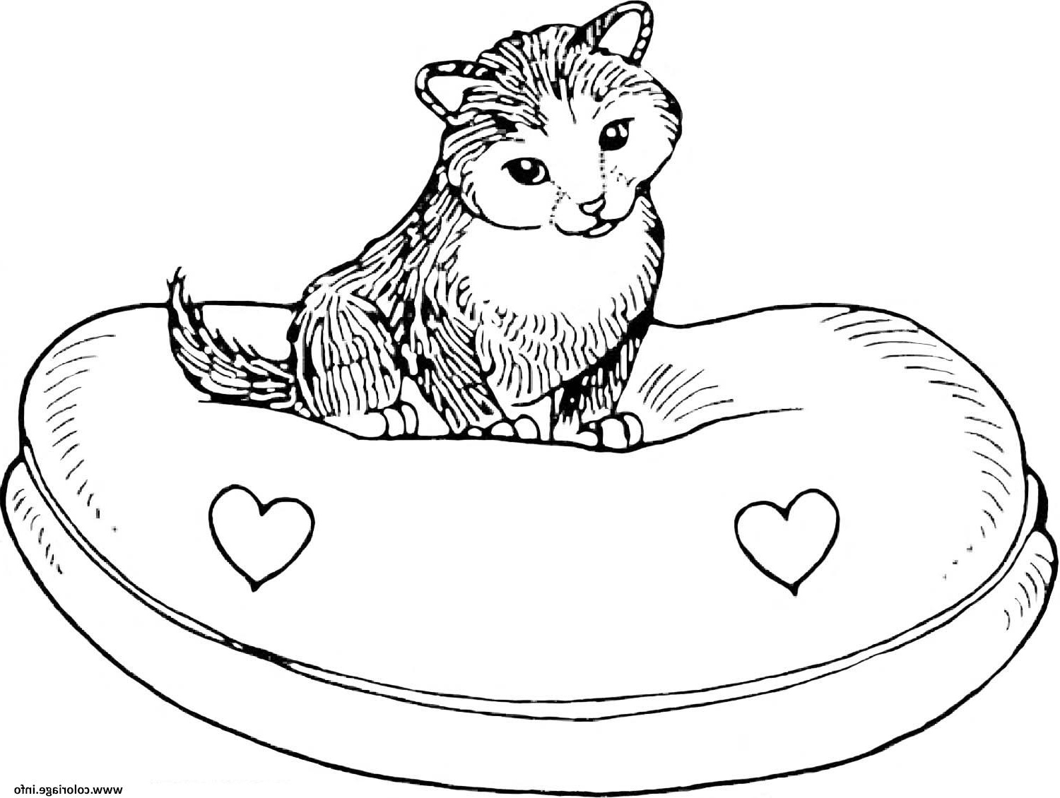 dessin chat sur son lit coloriage