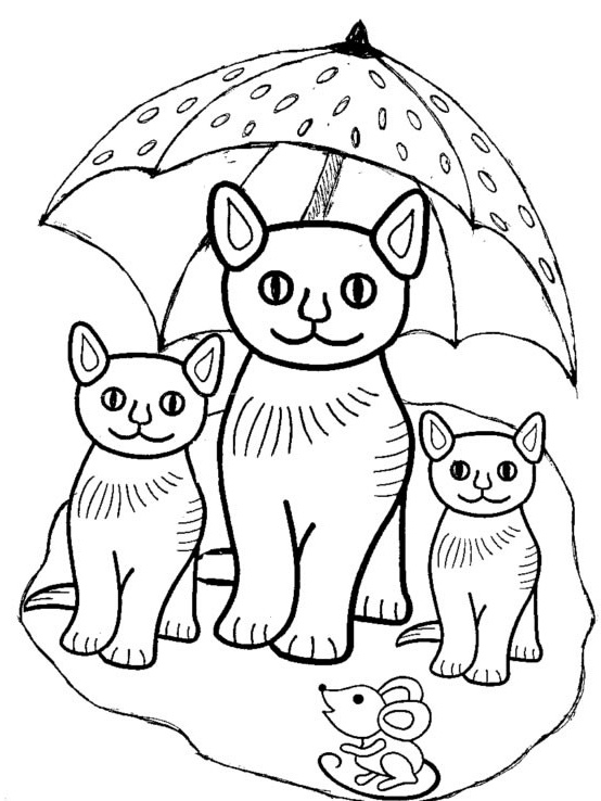les chats sous la parapluie 944