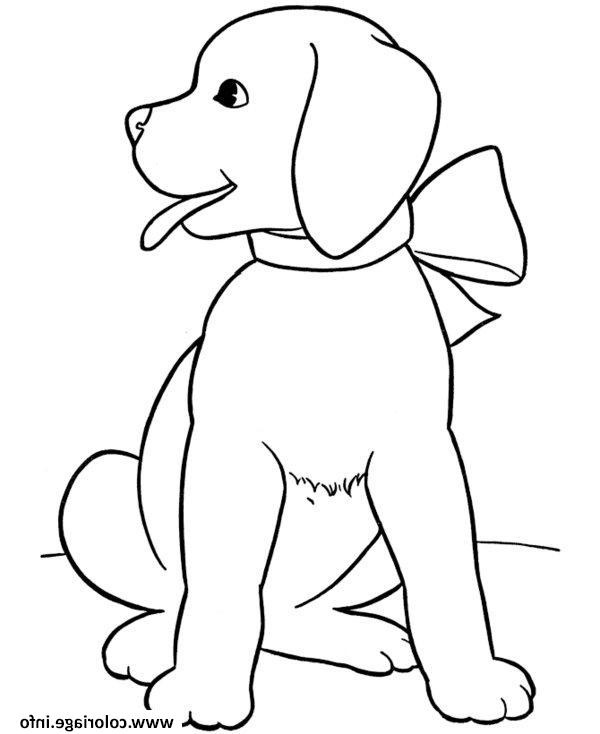 chien chiot gratuit coloriage