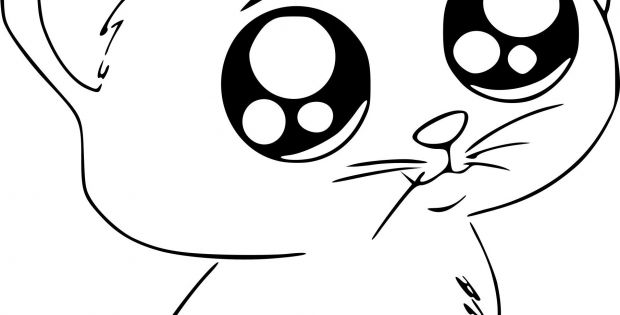  Dessin  De Chaton Kawaii Nouveau Photographie Coloriage  