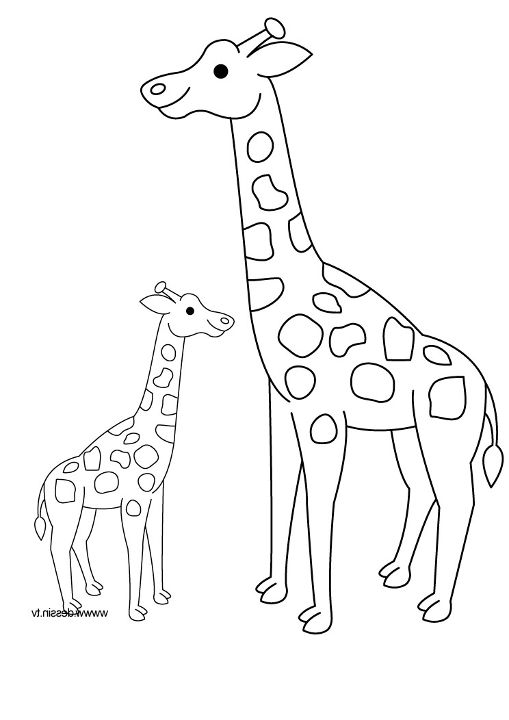 dessin de girafe 9