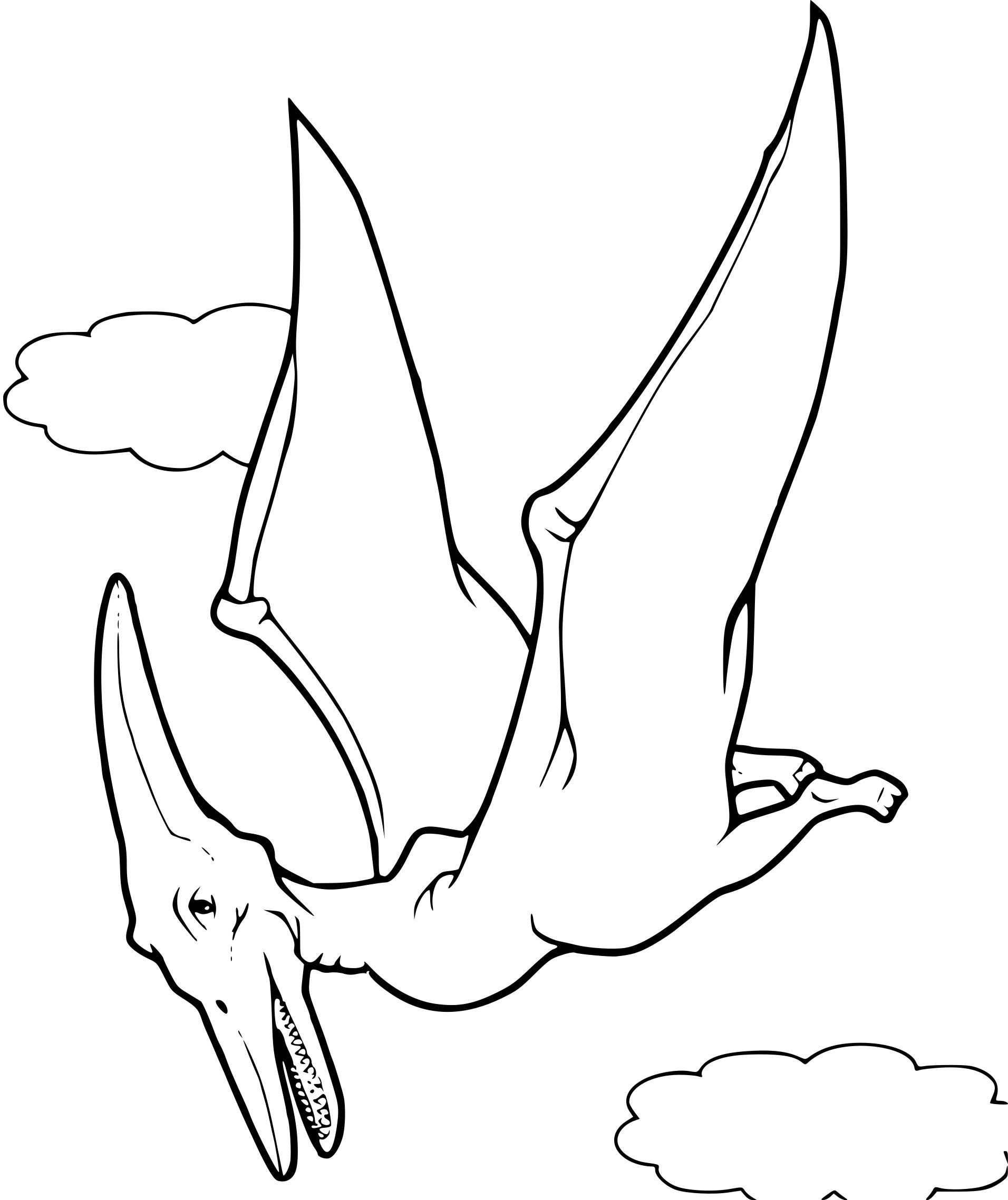 dinosaure volant dessin