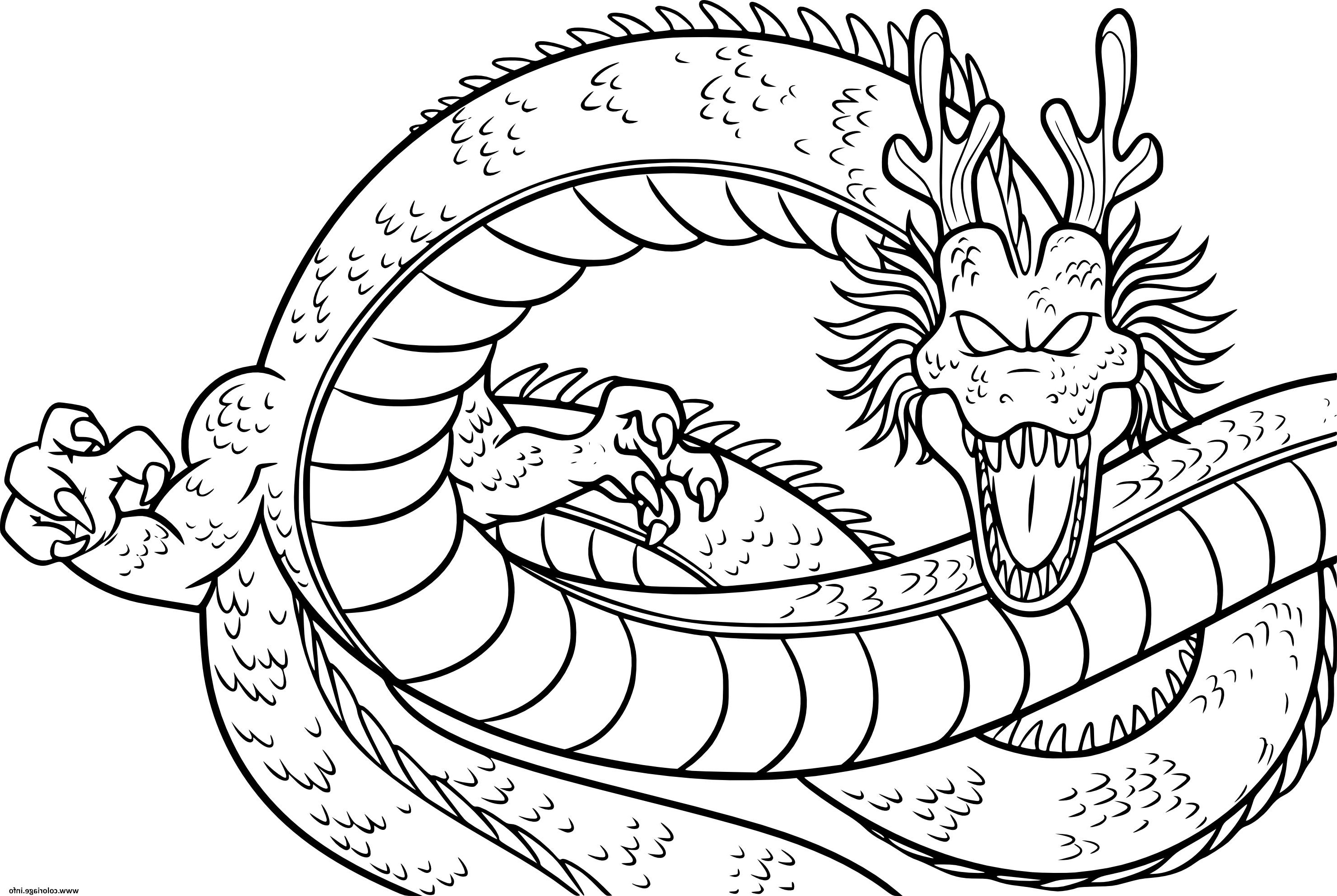 dragon de dragonballz coloriage dessin