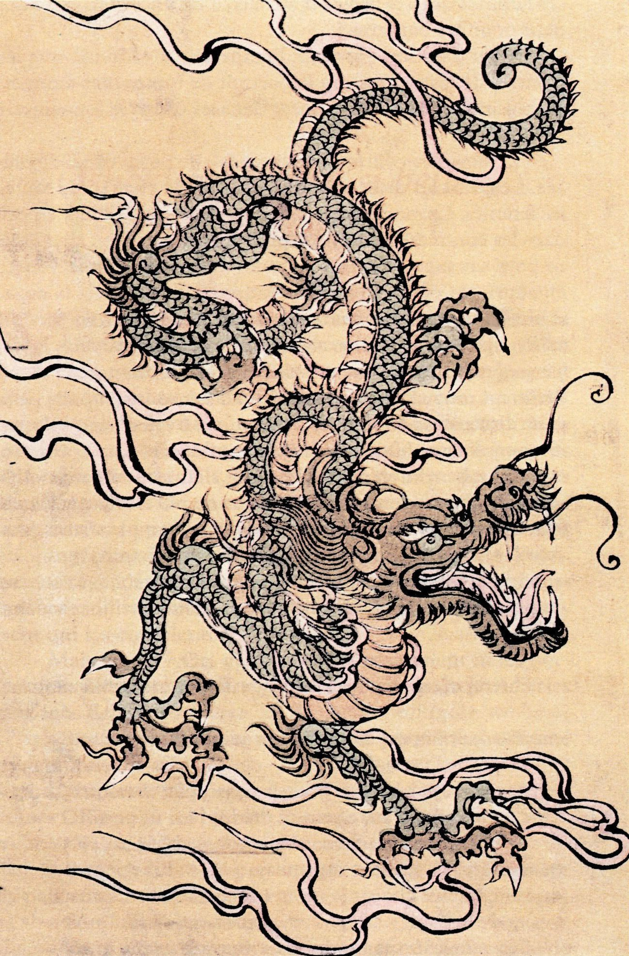 dragon chinois sur parchemin