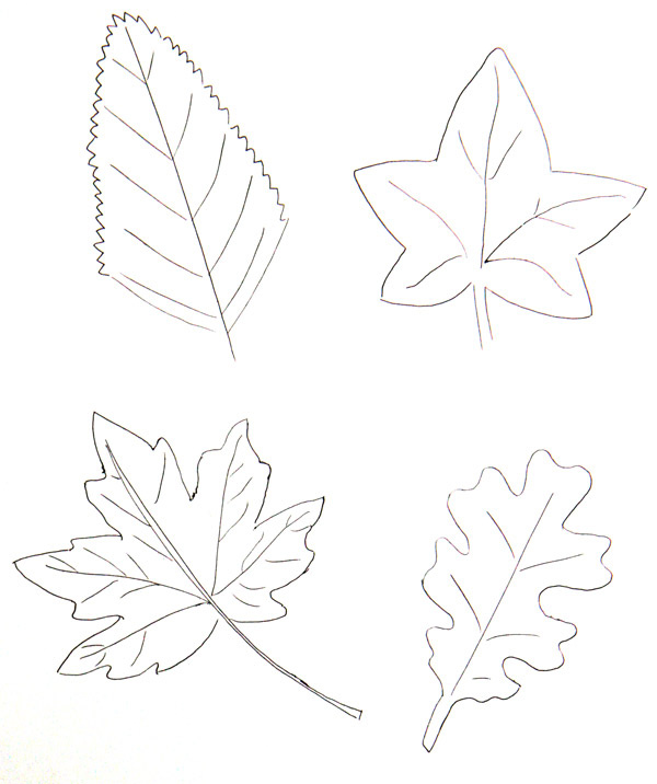 ment dessiner des feuilles d arbres