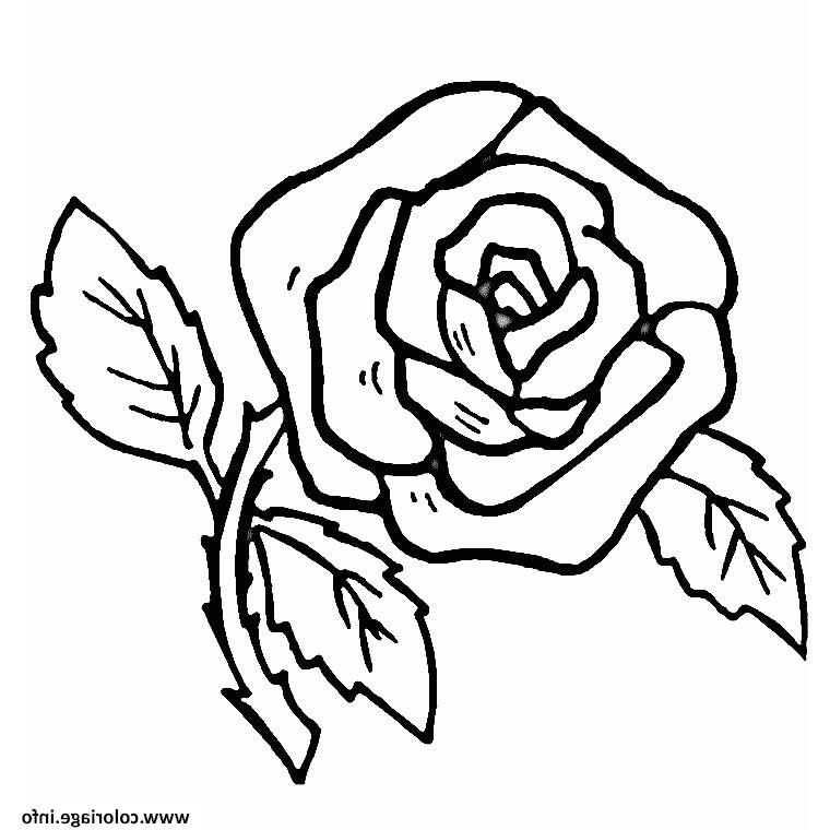fleur rose simple et facile coloriage