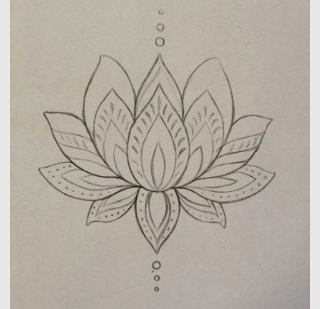 dessin fleur de lotus beau botanical lotus illustration t shirt elo