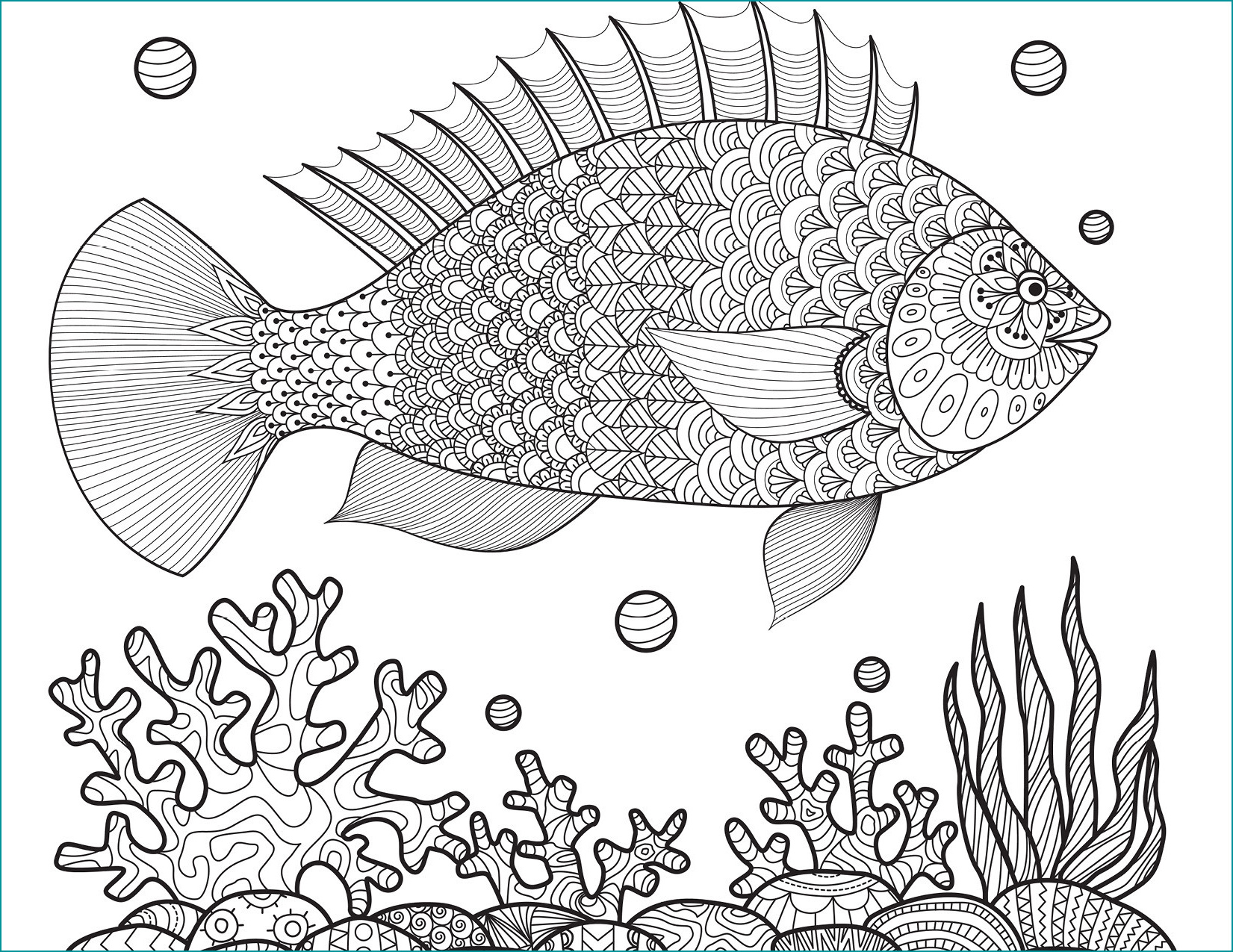 coloriage de lamp039om belle dessin poisson coloriages ete a imprimer gratuitement