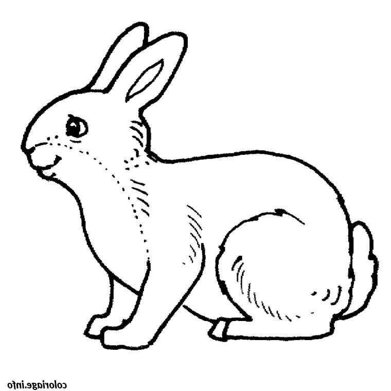 paques lapin coloriage 8594