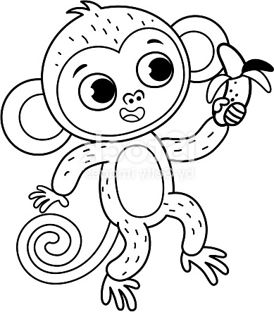 illustration vectorielle de singe mignon noir et blanc avec une banane gm