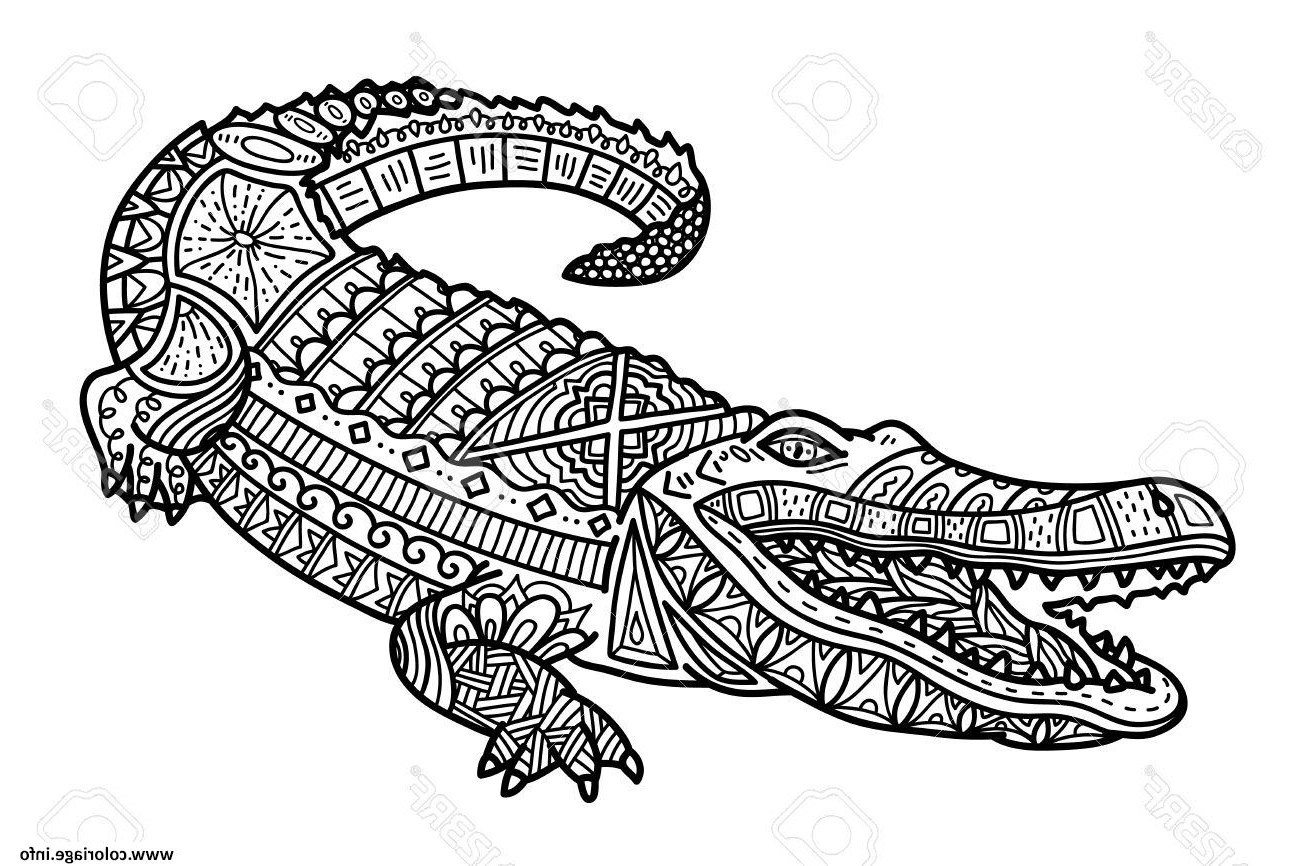 difficile zentangle crocodile adulte crocodile coloriage