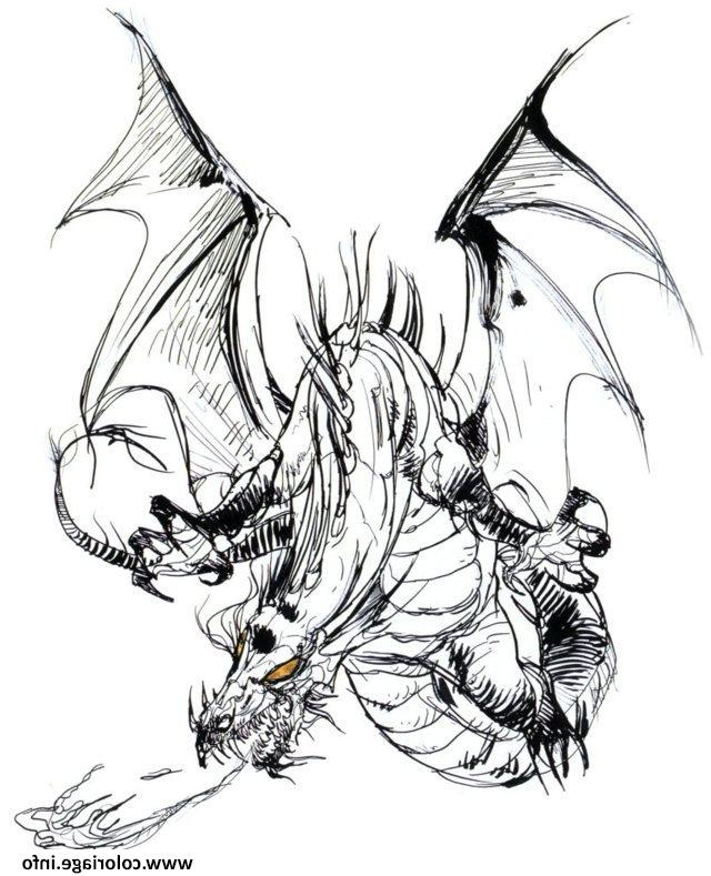 dragon adulte difficile coloriage dessin
