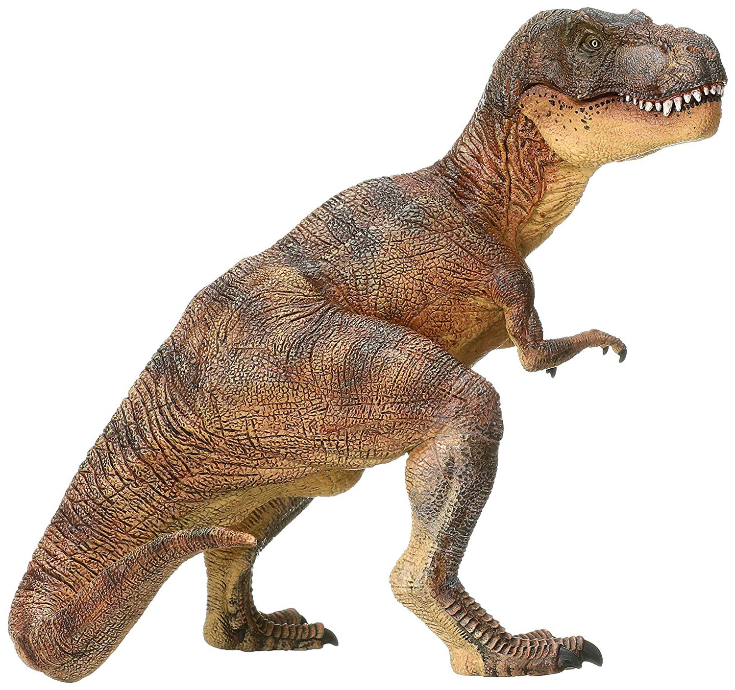 dessin dinosaure tyrannosaure a imprimer
