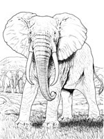 dessin a imprimer animaux afrique