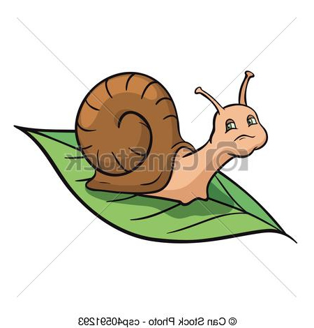 couleur escargot leaf illustration