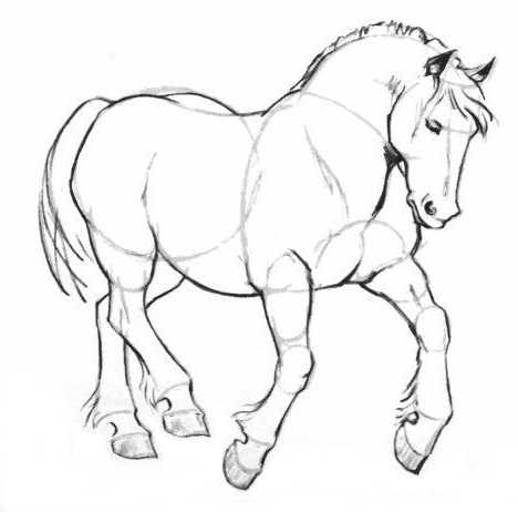 821 dessin cheval de trait