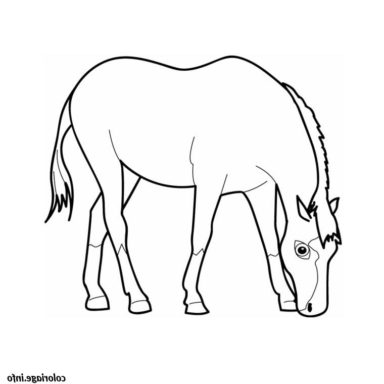 cheval simple coloriage dessin 314