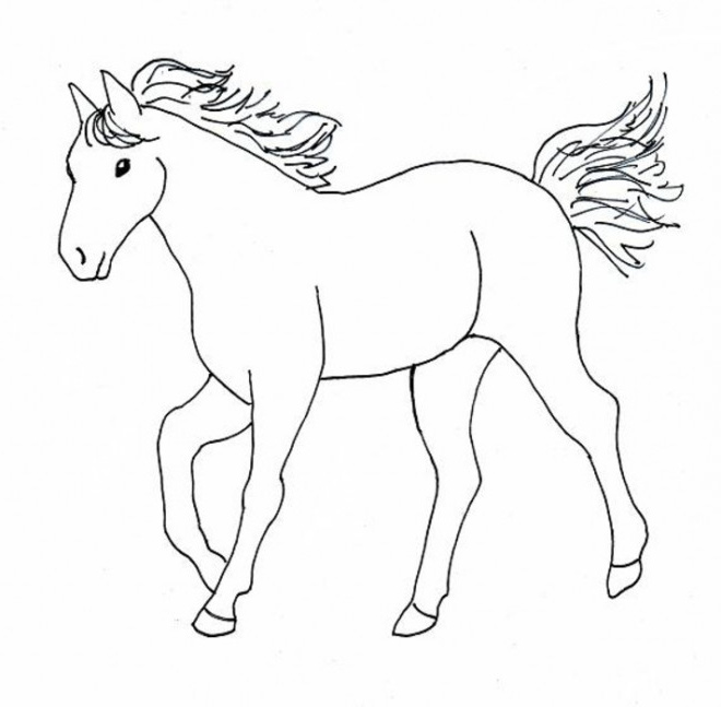 cheval facile 1083