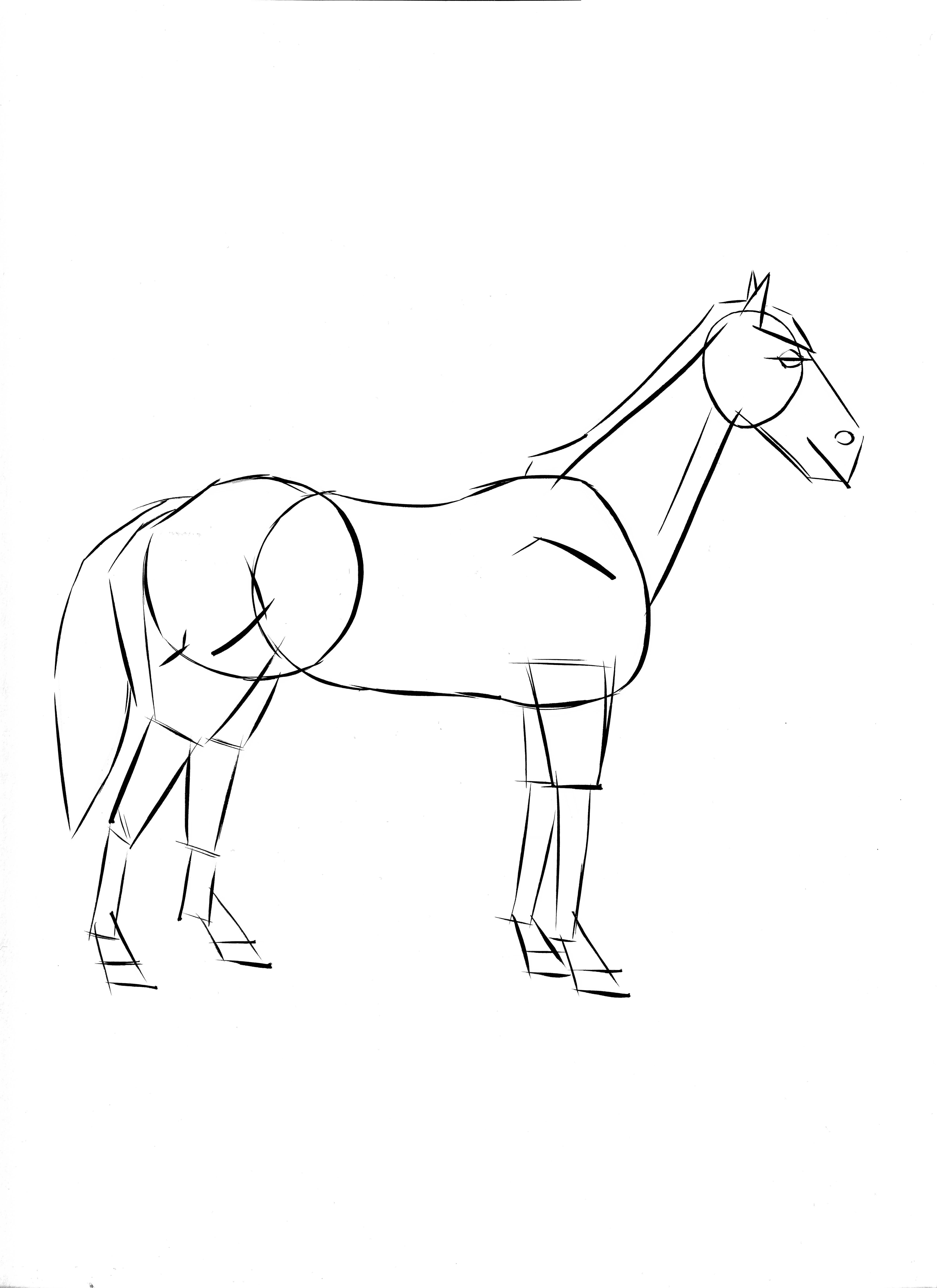 activites enfants dessiner un cheval