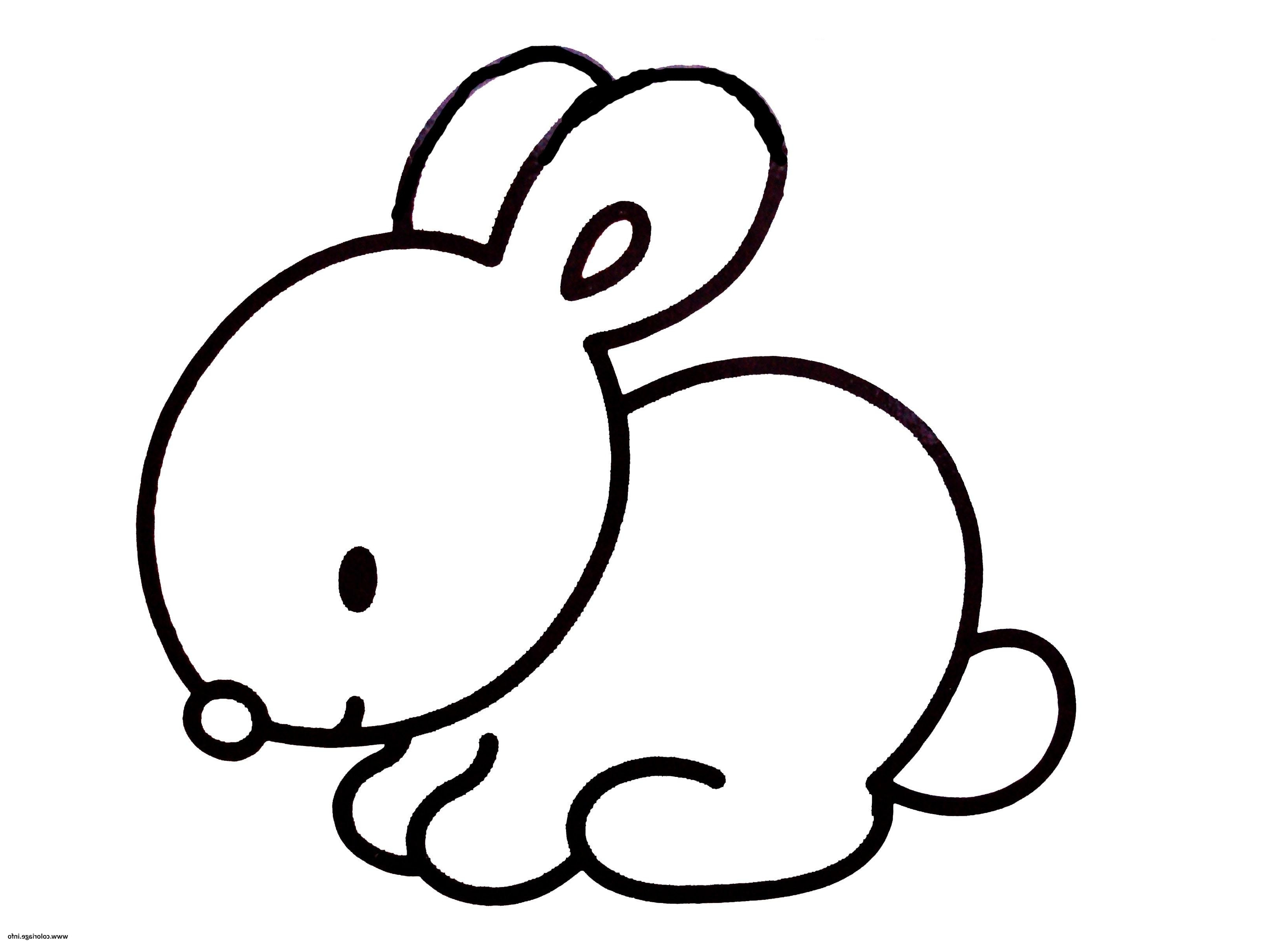 dessin facile lapin coloriage dessin