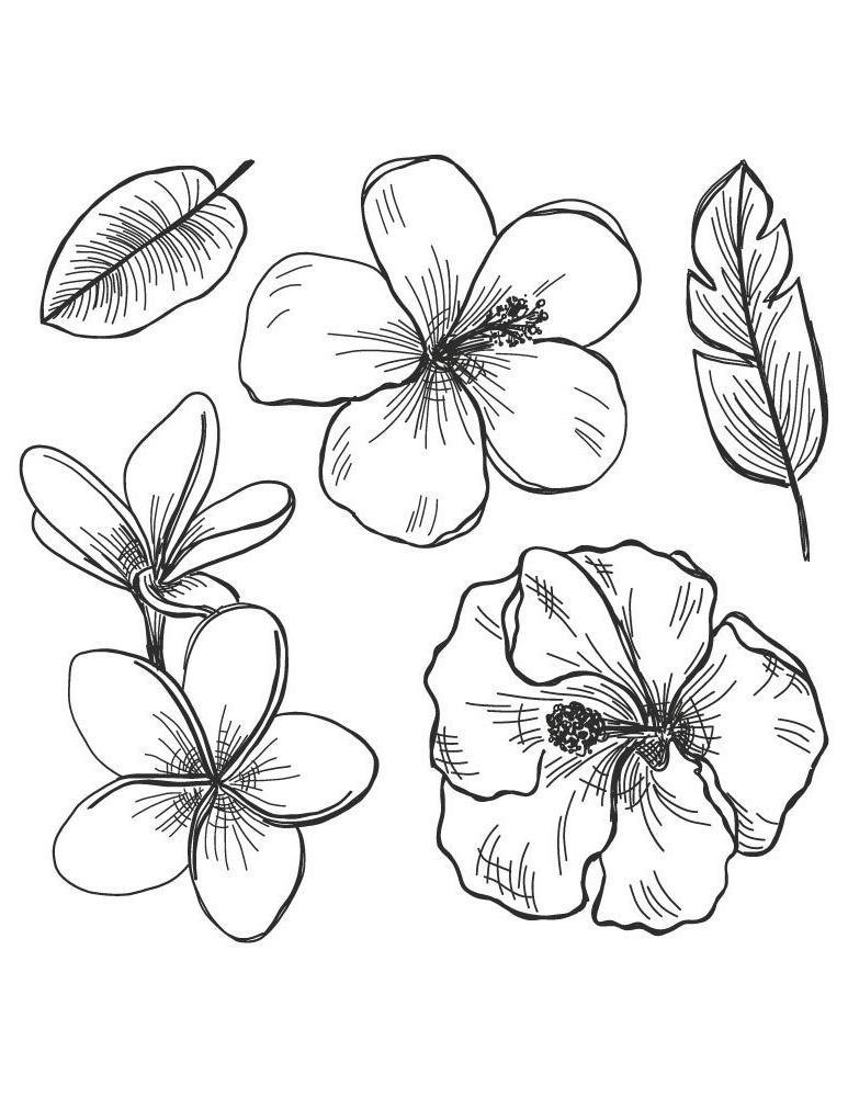 fleurs et feuilles dessin facile a imprimer pour destresser
