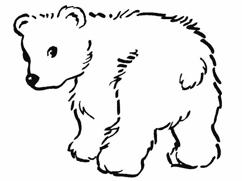 desenhos de ursos para imprimir e colorir
