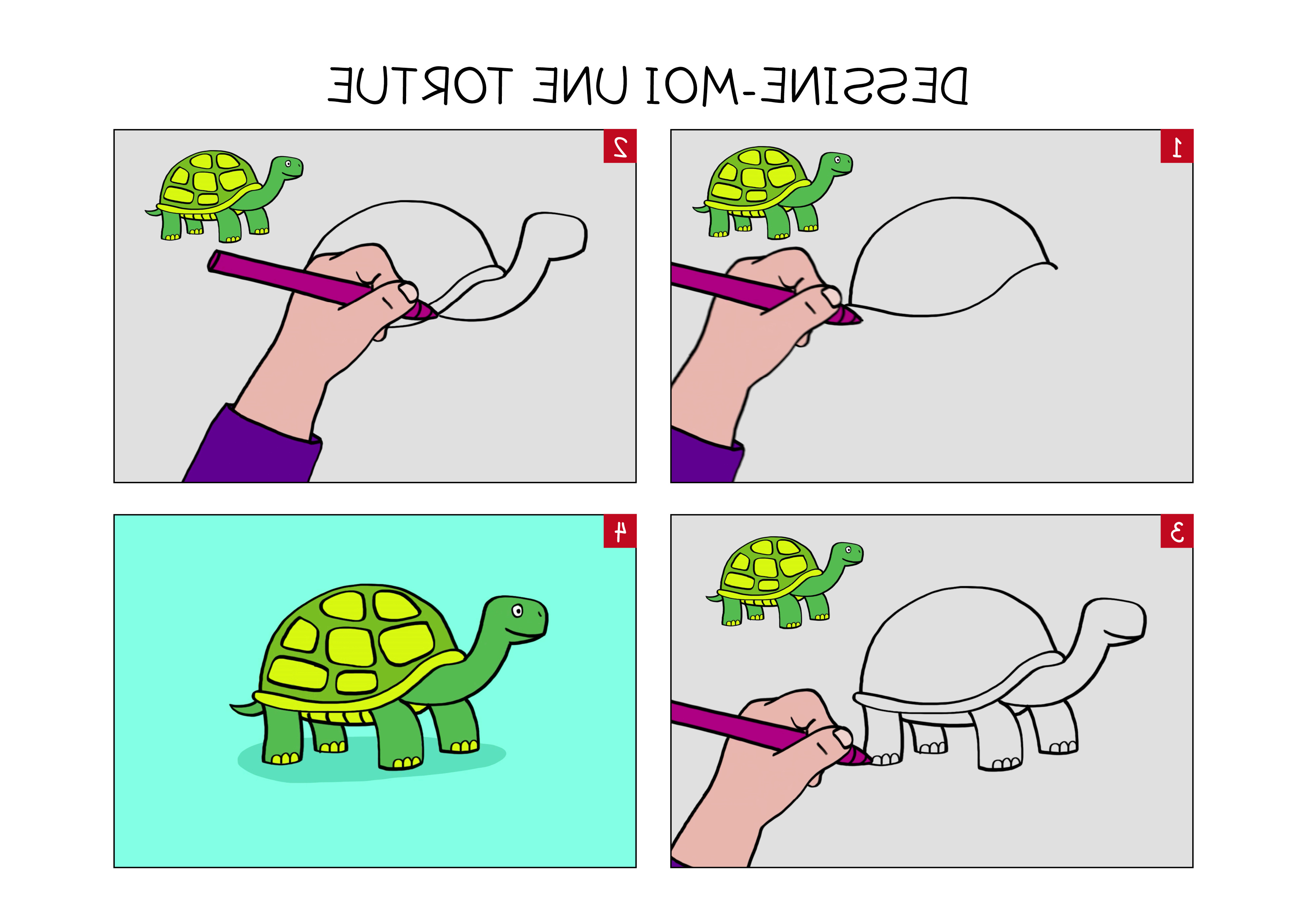 apprendre a dessiner une tortue en 3 etapes