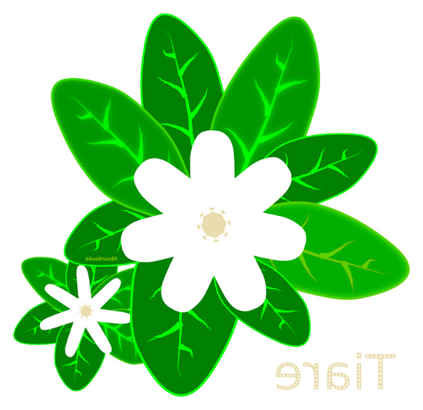 image fleur de tahiti