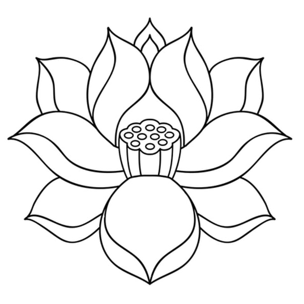 Dessin Fleur Facile Beau Stock Fleur De Lotus Zen Coloriage
