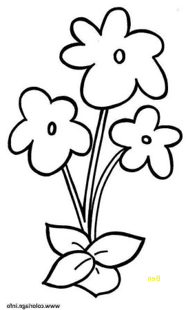fleur dessin simple