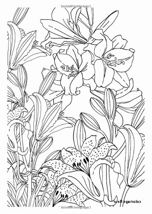 dessin fleur zen inspire coloriage fleur coloriage fleurs et plantes coloring collection