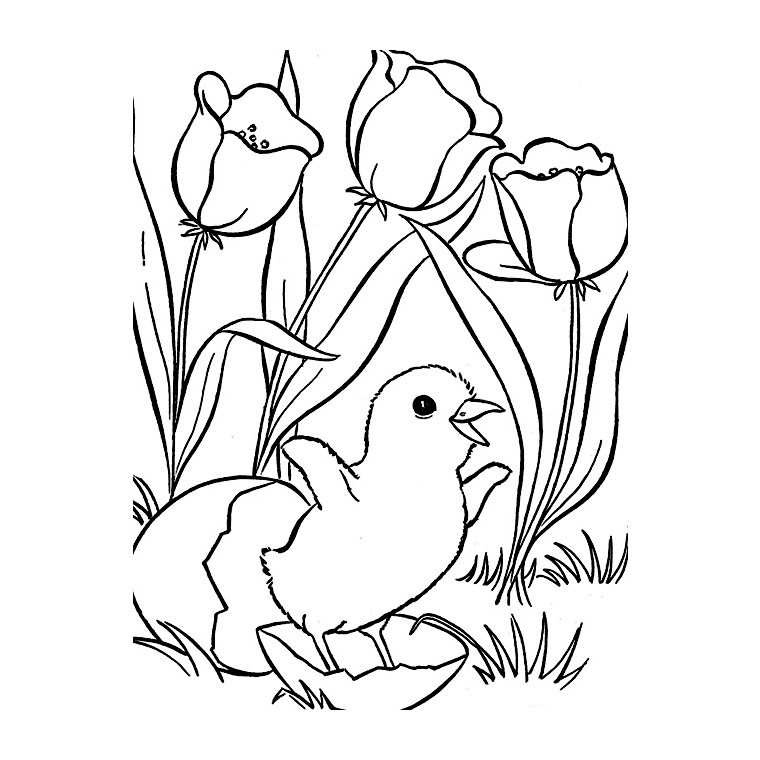 7111 coloriage printemps poussin tulipes a imprimer gratuit 3667 coloriage fleurs de printemps