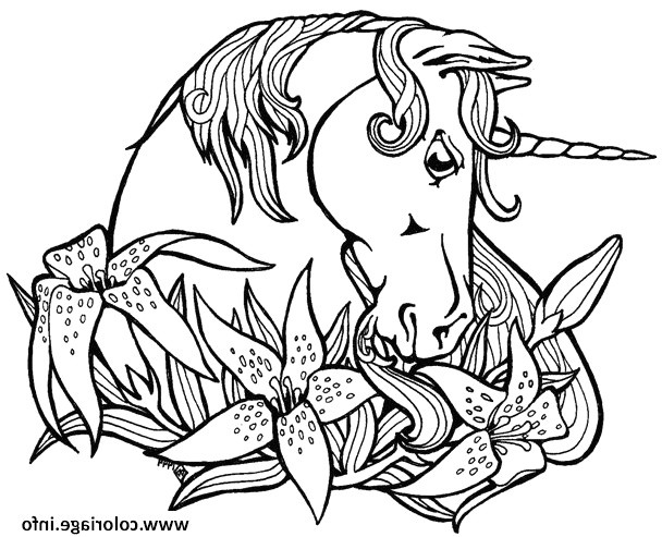 coloriage licorne dans une couronne de fleur dessin avec dans une couronne de fleur et dessin a imprimer licorne 11 coloriage licorne dans une couronne de fleur dessin imprimer