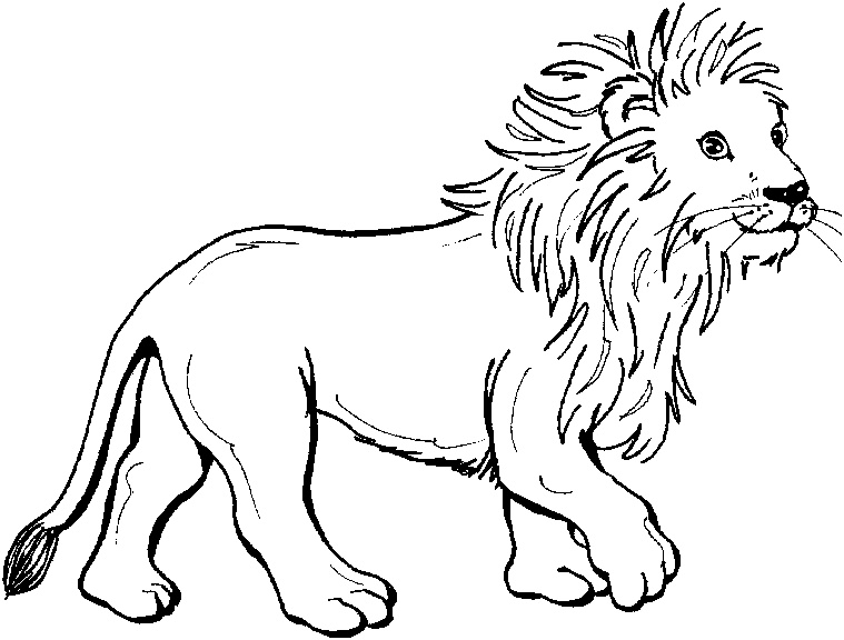 coloriage lion 0