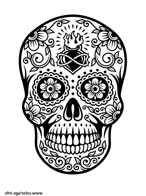 squelette halloween tete de mort coloriage dessin