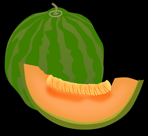 2637 melon dessin couleur