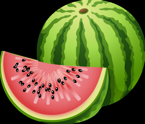 rub fruits pasteques melons 5