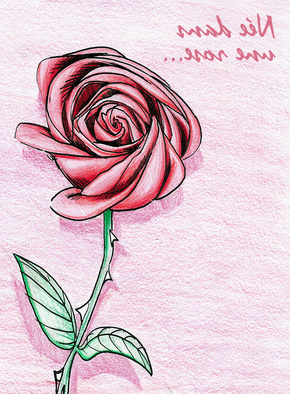 2757 nee dans une rose dessin d une rose