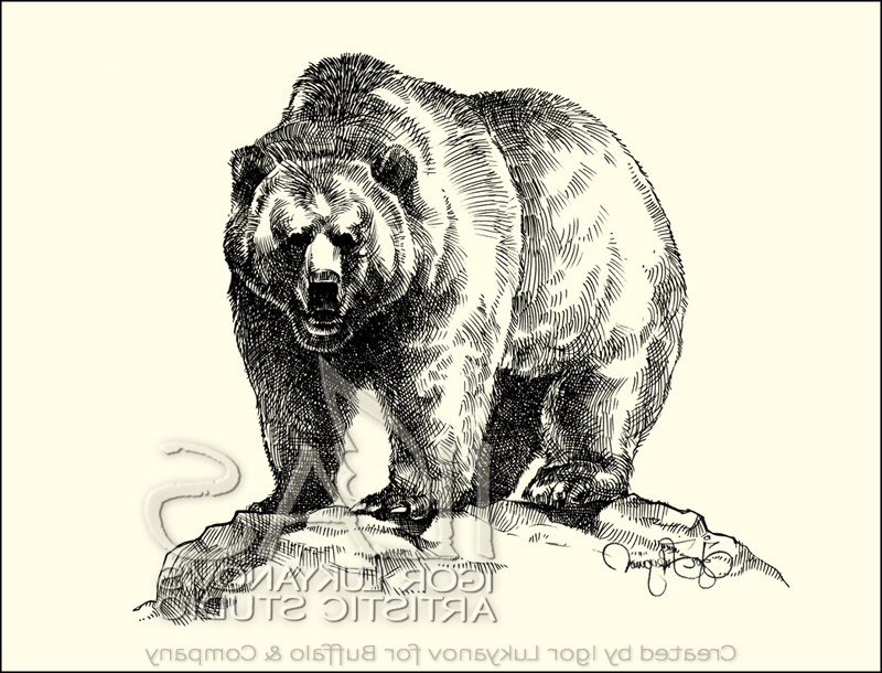 dessin ours brun grizzli
