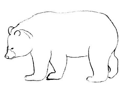 dessin de ours 10