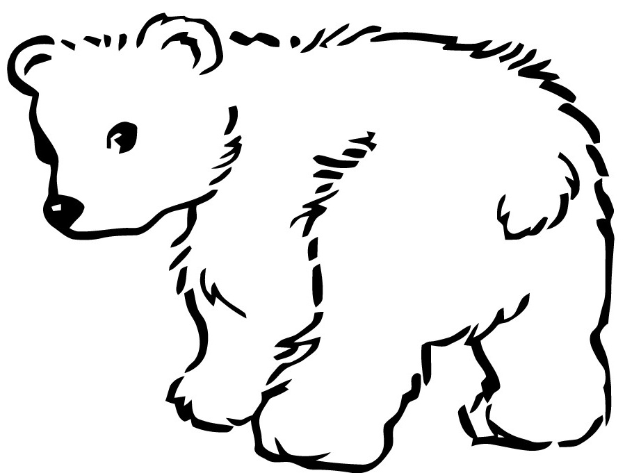dessin d ours facile