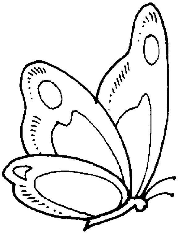 ailes de papillon a colorier et a imprimer