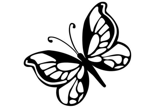 coloriage d un papillon n 8